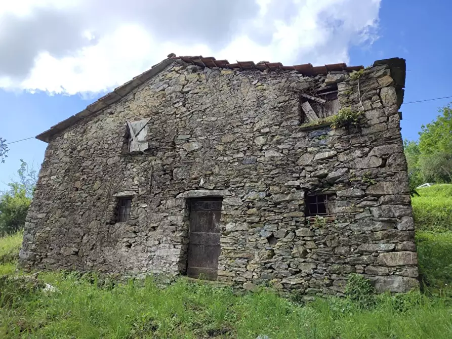 Immagine 9 di Rustico / casale in vendita  a Leivi