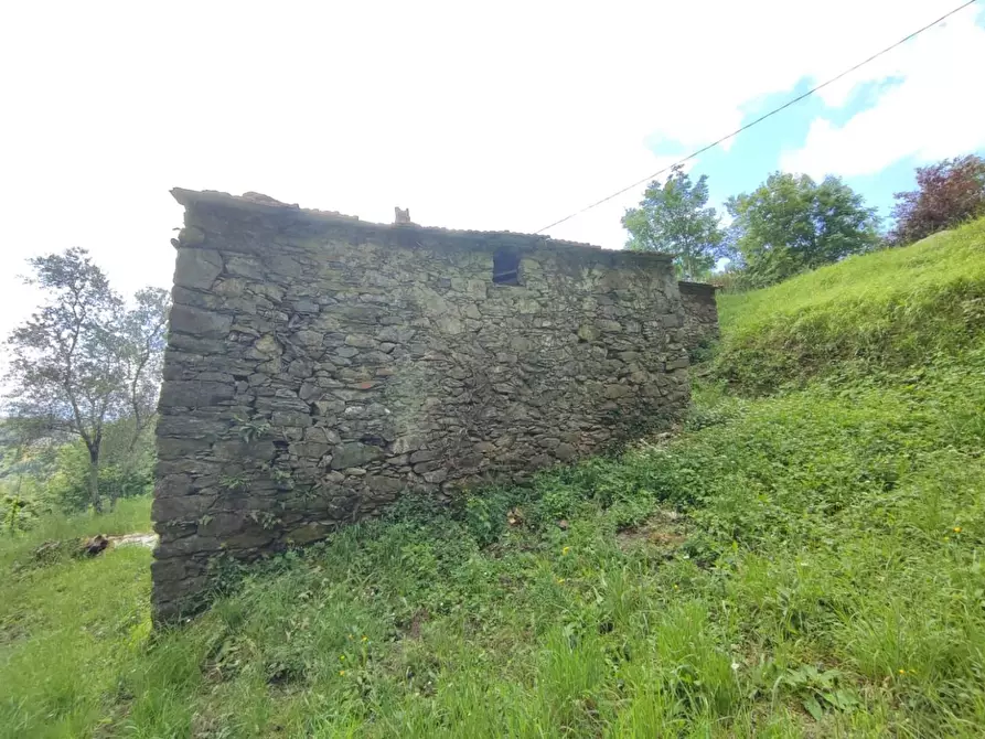 Immagine 16 di Rustico / casale in vendita  a Leivi
