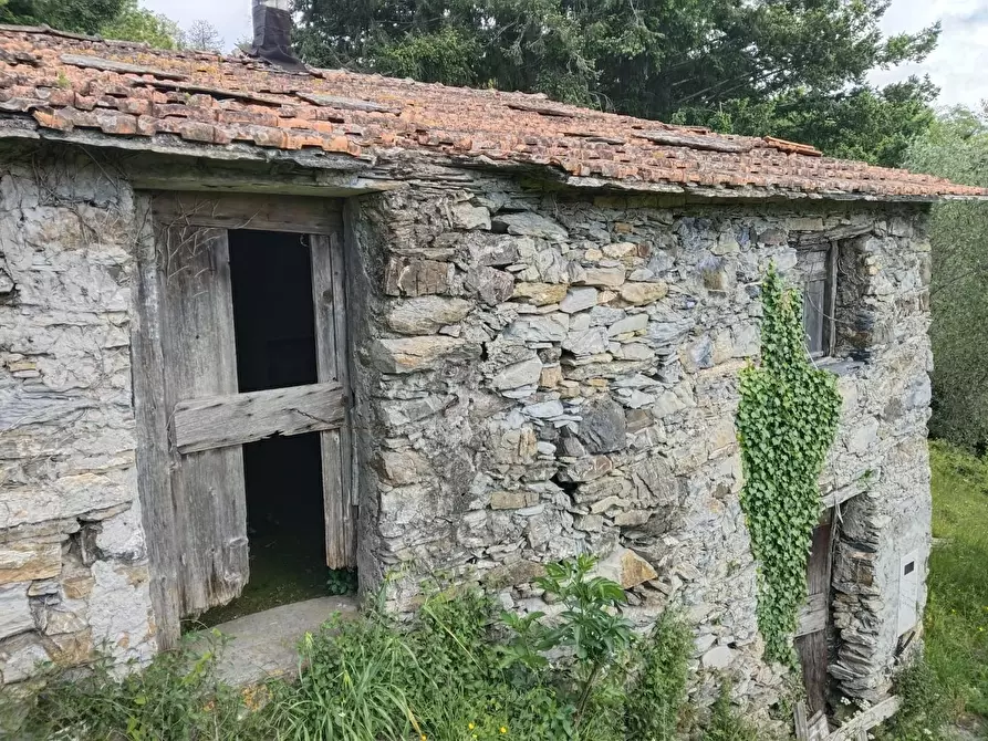Immagine 10 di Rustico / casale in vendita  a Leivi