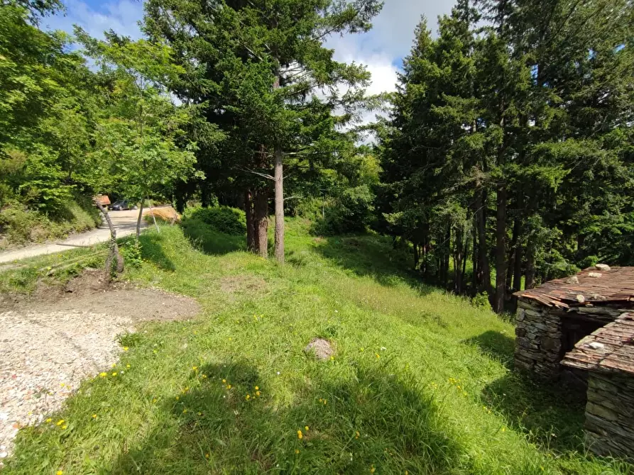 Immagine 34 di Rustico / casale in vendita  a Leivi