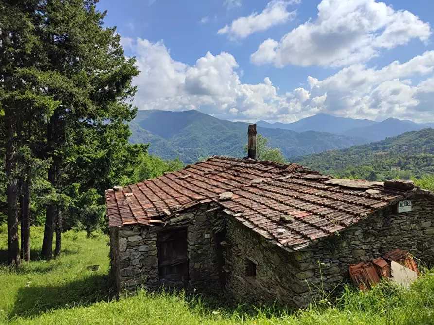 Immagine 4 di Rustico / casale in vendita  a Leivi