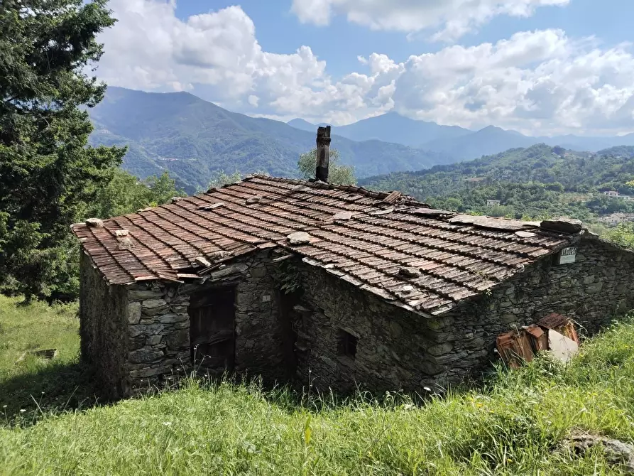 Immagine 2 di Rustico / casale in vendita  a Leivi