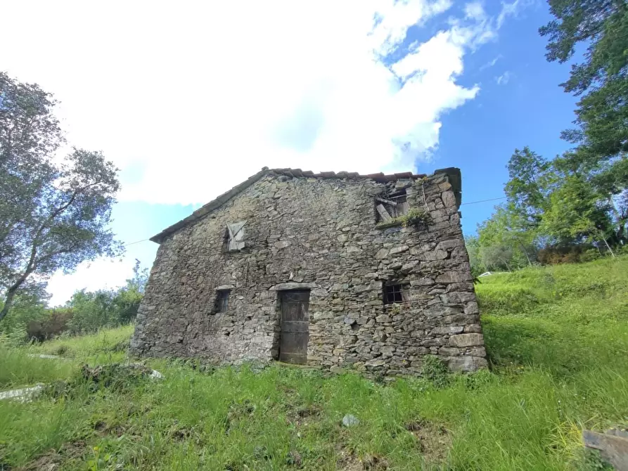 Immagine 8 di Rustico / casale in vendita  a Leivi