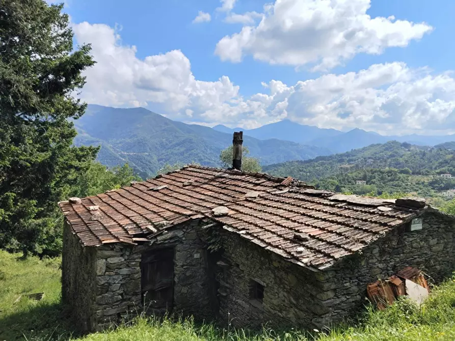 Immagine 5 di Rustico / casale in vendita  a Leivi