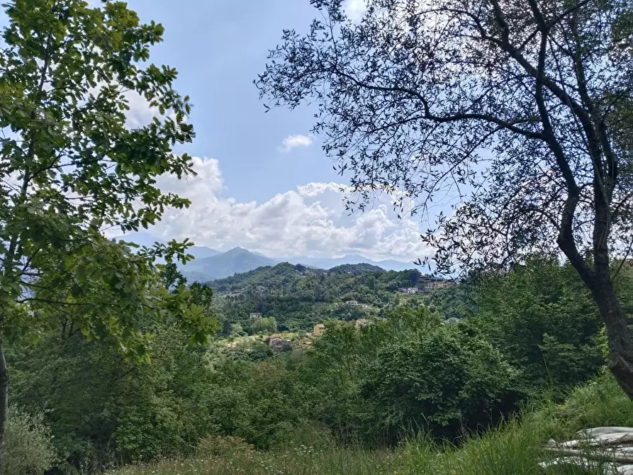 Immagine 25 di Rustico / casale in vendita  a Leivi