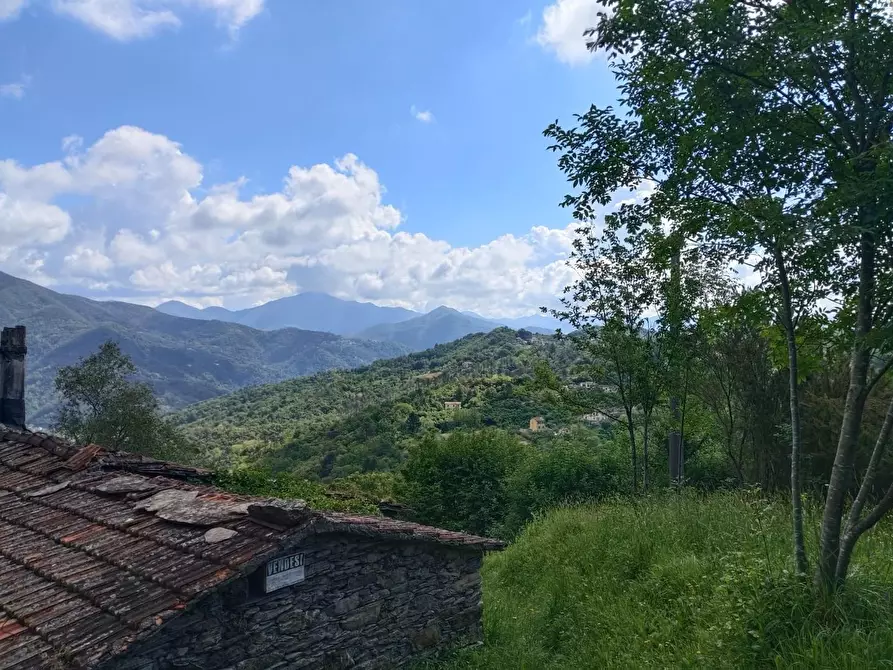 Immagine 19 di Rustico / casale in vendita  a Leivi