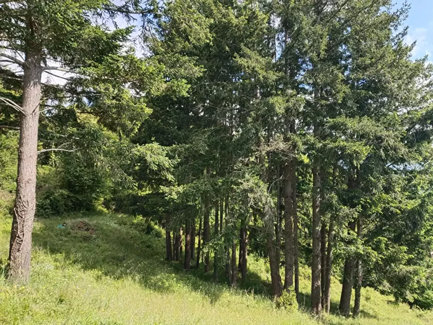 Immagine 26 di Rustico / casale in vendita  a Leivi