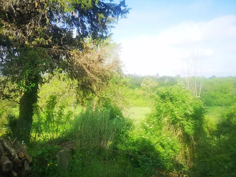 Immagine 29 di Casa colonica in vendita  a Pontedera