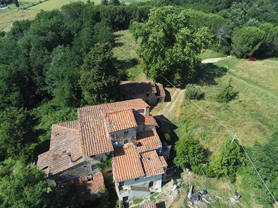 Immagine 19 di Casa colonica in vendita  a Pontedera