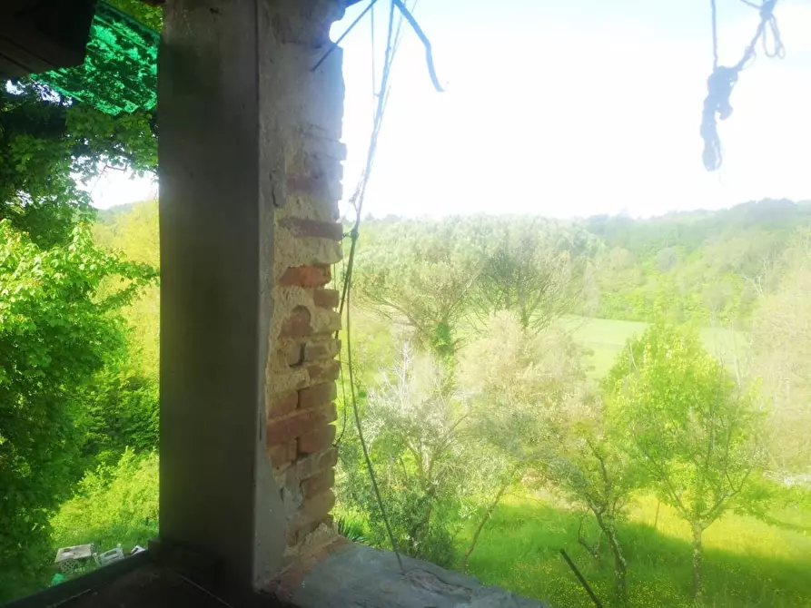 Immagine 26 di Casa colonica in vendita  a Pontedera