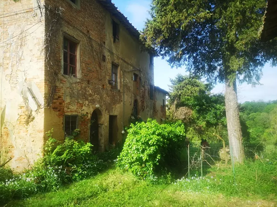 Immagine 24 di Casa colonica in vendita  a Pontedera