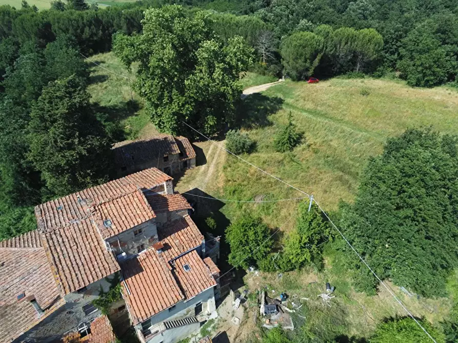 Immagine 21 di Casa colonica in vendita  a Pontedera