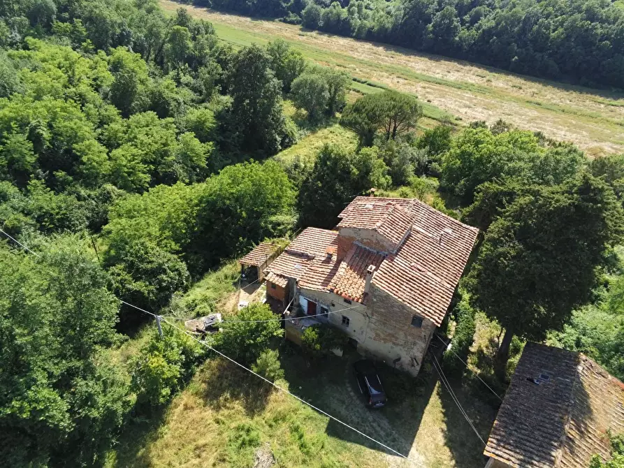 Immagine 18 di Casa colonica in vendita  a Pontedera