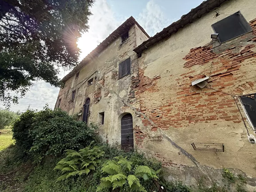 Immagine 15 di Casa colonica in vendita  a Pontedera