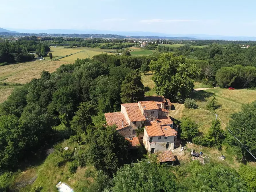 Immagine 46 di Casa colonica in vendita  a Pontedera