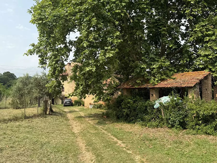 Immagine 10 di Casa colonica in vendita  a Pontedera