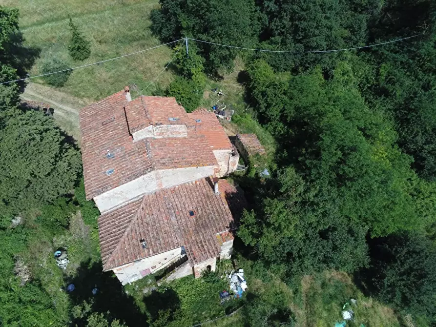 Immagine 23 di Casa colonica in vendita  a Pontedera