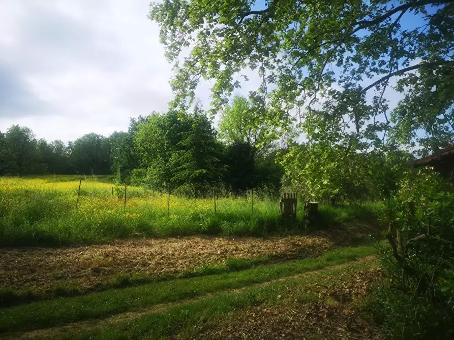 Immagine 42 di Casa colonica in vendita  a Pontedera