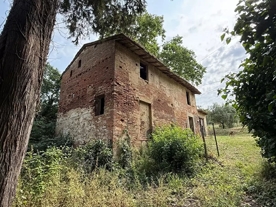 Immagine 14 di Casa colonica in vendita  a Pontedera
