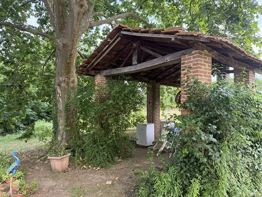 Immagine 5 di Casa colonica in vendita  a Pontedera