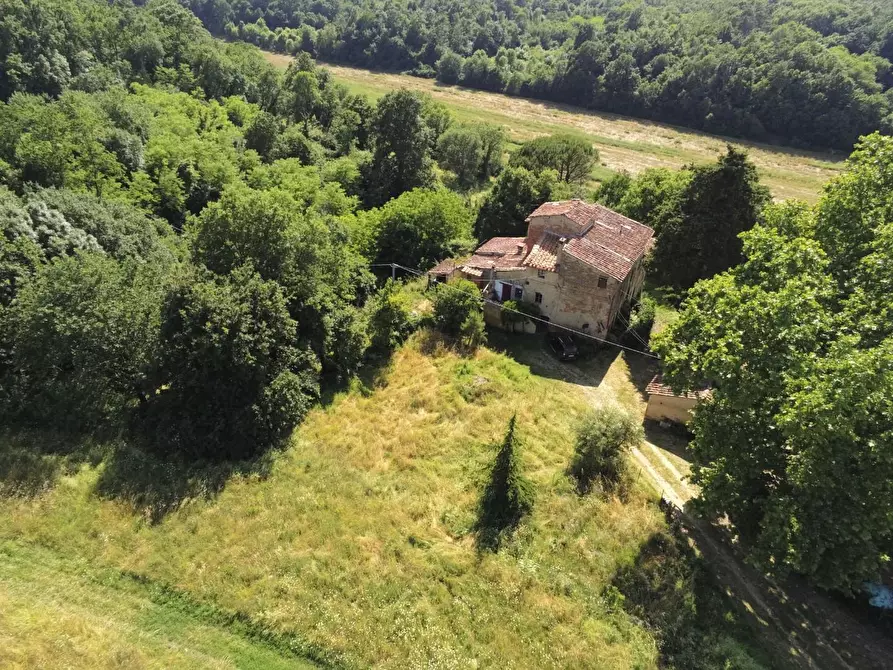 Immagine 17 di Casa colonica in vendita  a Pontedera