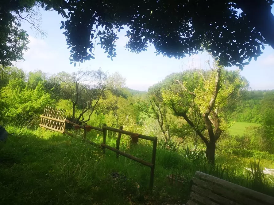 Immagine 28 di Casa colonica in vendita  a Pontedera