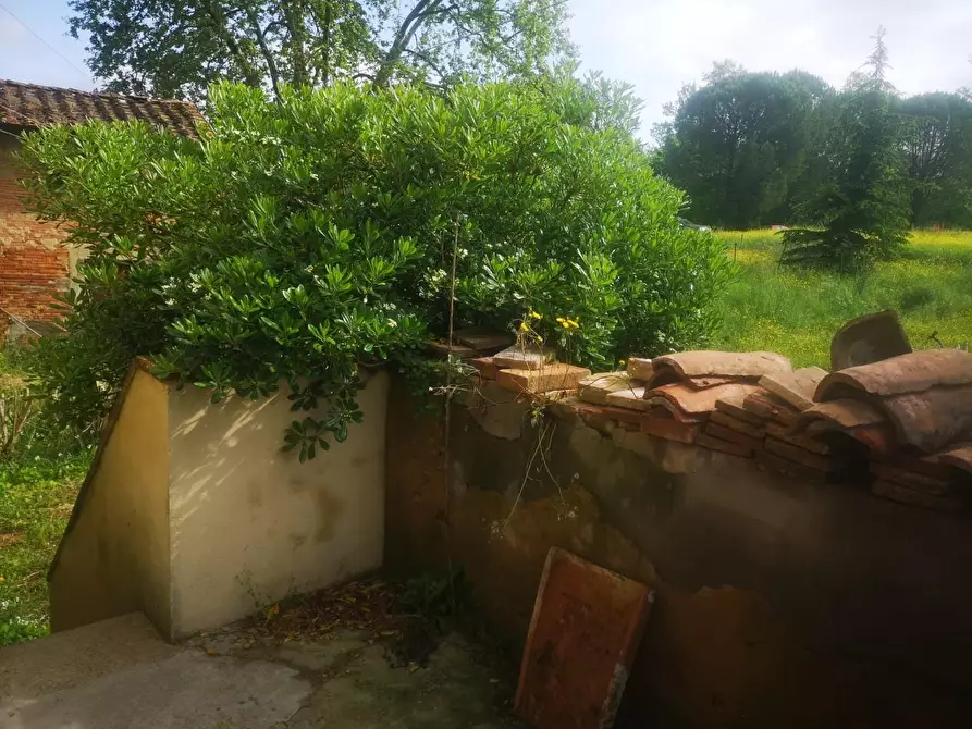 Immagine 30 di Casa colonica in vendita  a Pontedera