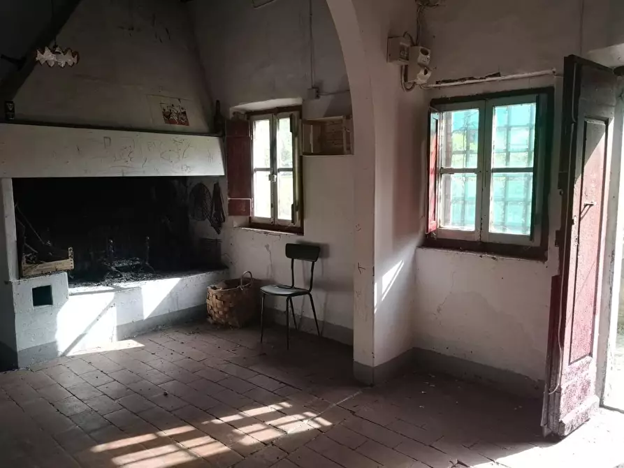 Immagine 32 di Casa colonica in vendita  a Pontedera
