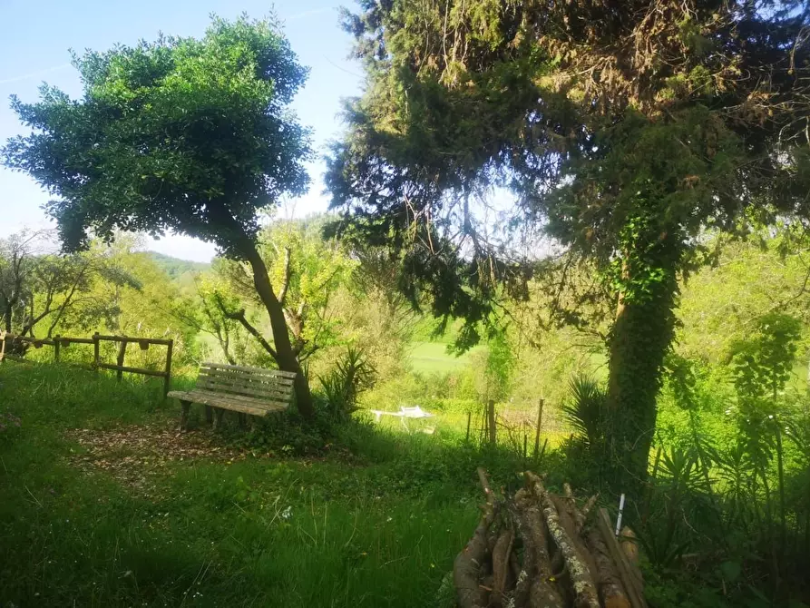 Immagine 27 di Casa colonica in vendita  a Pontedera
