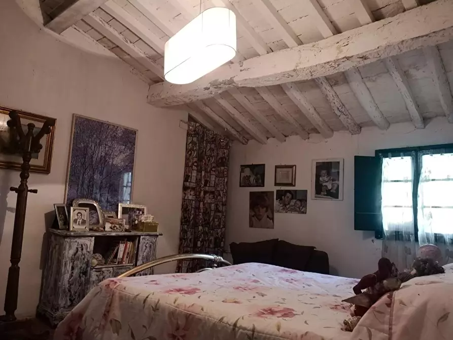 Immagine 37 di Casa colonica in vendita  a Pontedera