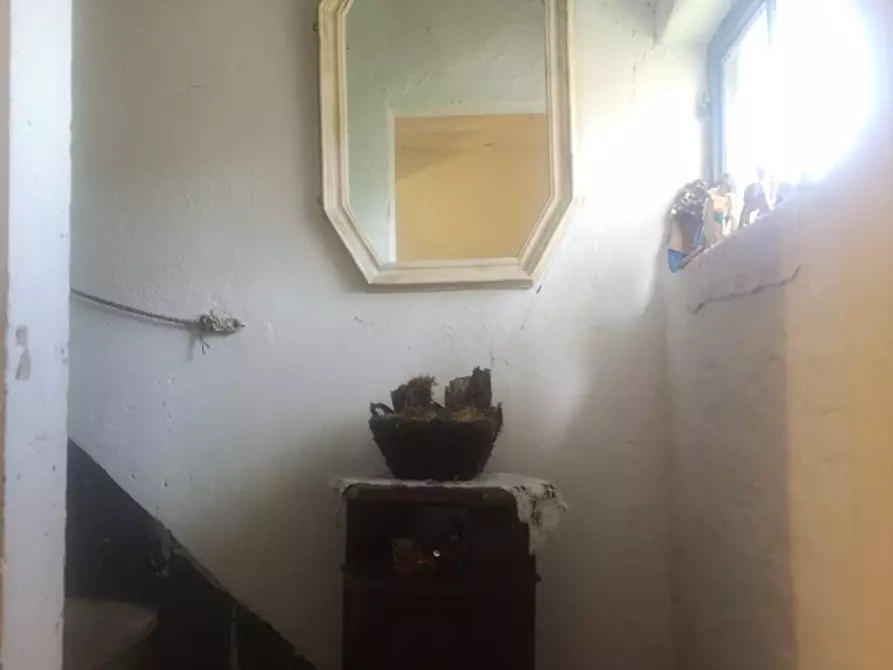 Immagine 34 di Casa colonica in vendita  a Pontedera