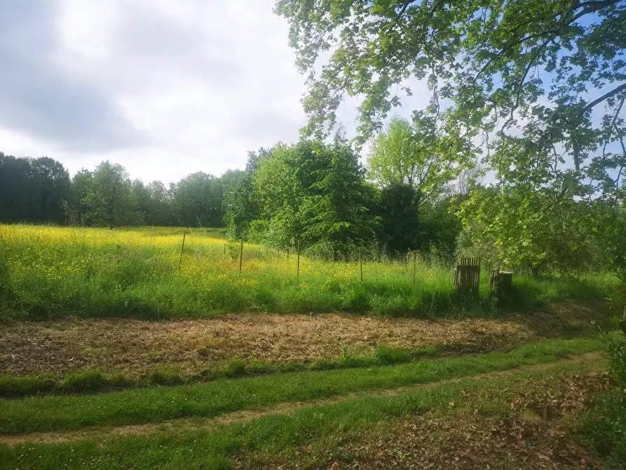 Immagine 43 di Casa colonica in vendita  a Pontedera
