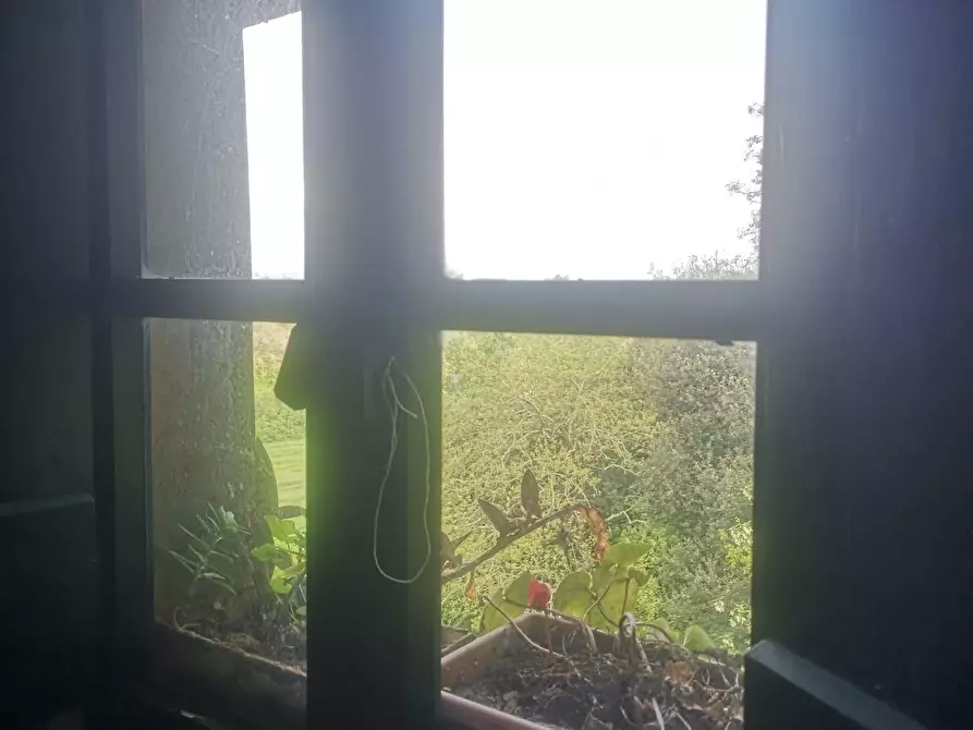 Immagine 39 di Casa colonica in vendita  a Pontedera