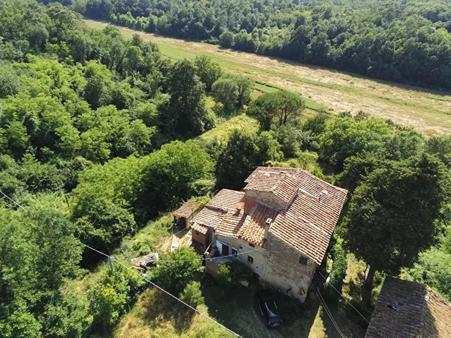 Immagine 6 di Casa colonica in vendita  a Pontedera