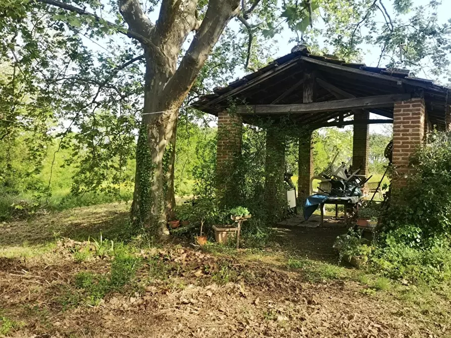Immagine 45 di Casa colonica in vendita  a Pontedera