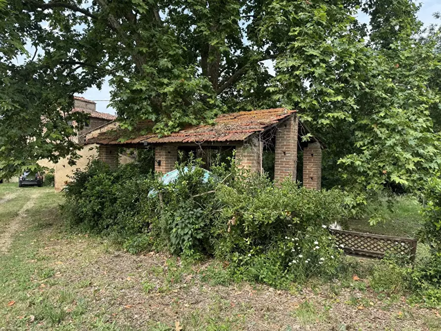 Immagine 4 di Casa colonica in vendita  a Pontedera