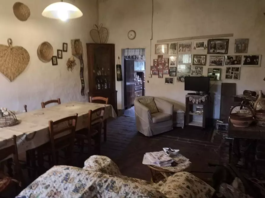 Immagine 40 di Casa colonica in vendita  a Pontedera