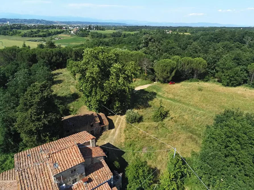 Immagine 20 di Casa colonica in vendita  a Pontedera