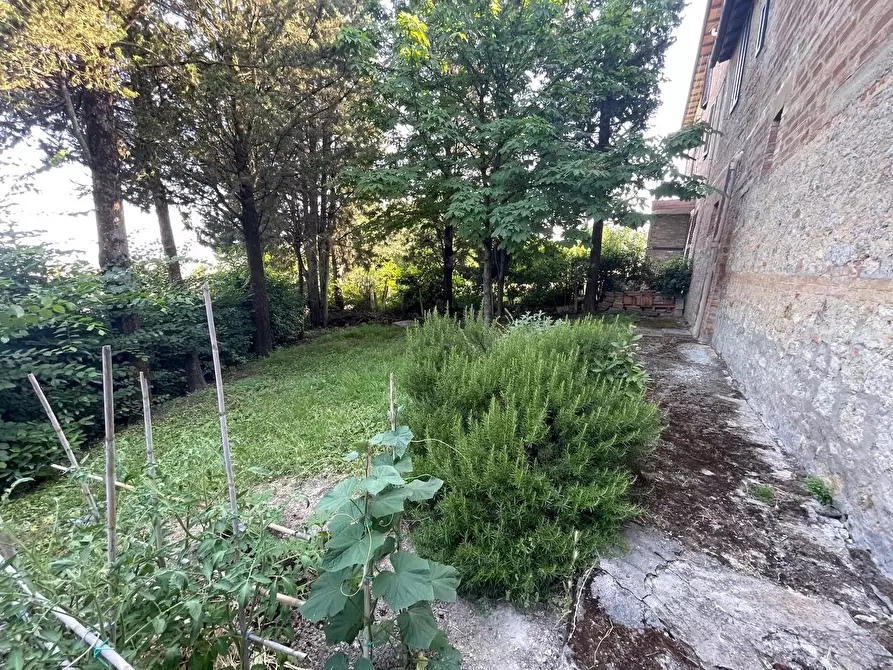 Immagine 64 di Appartamento in vendita  a Siena