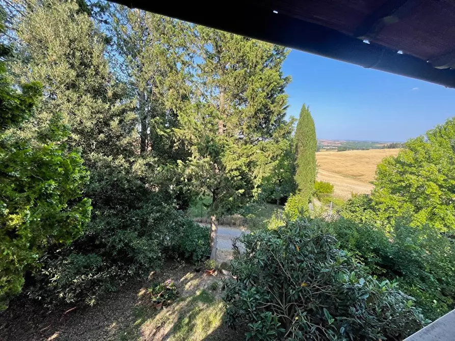 Immagine 74 di Appartamento in vendita  a Siena