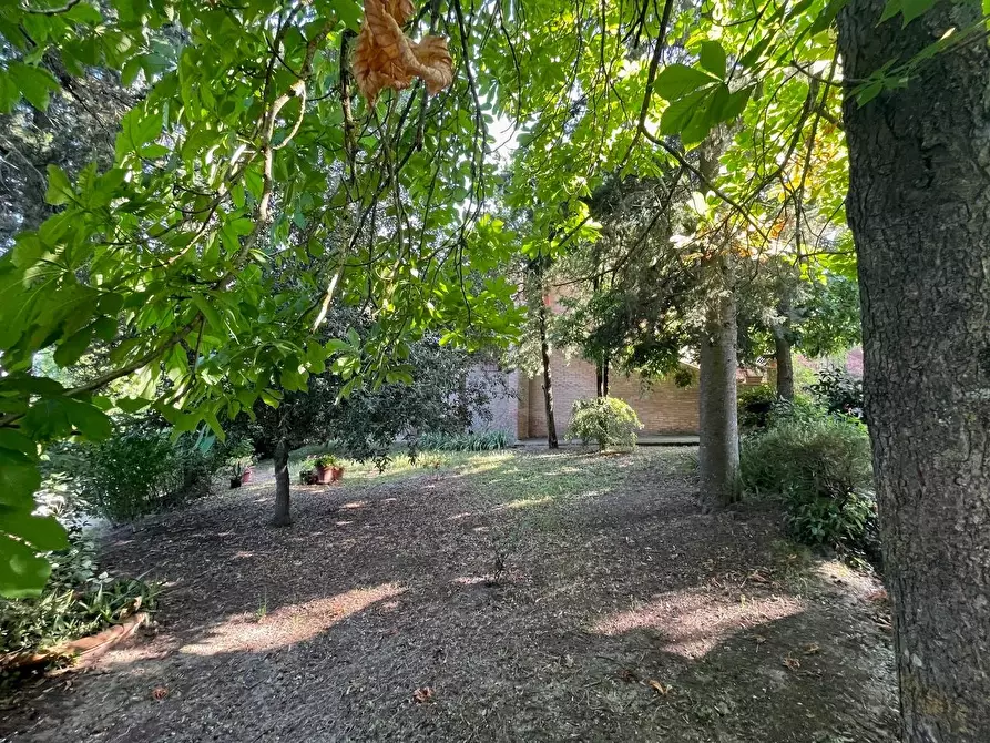 Immagine 71 di Appartamento in vendita  a Siena