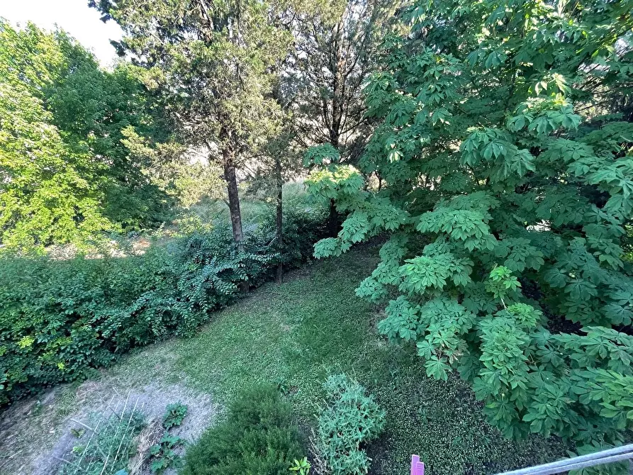 Immagine 8 di Appartamento in vendita  a Siena