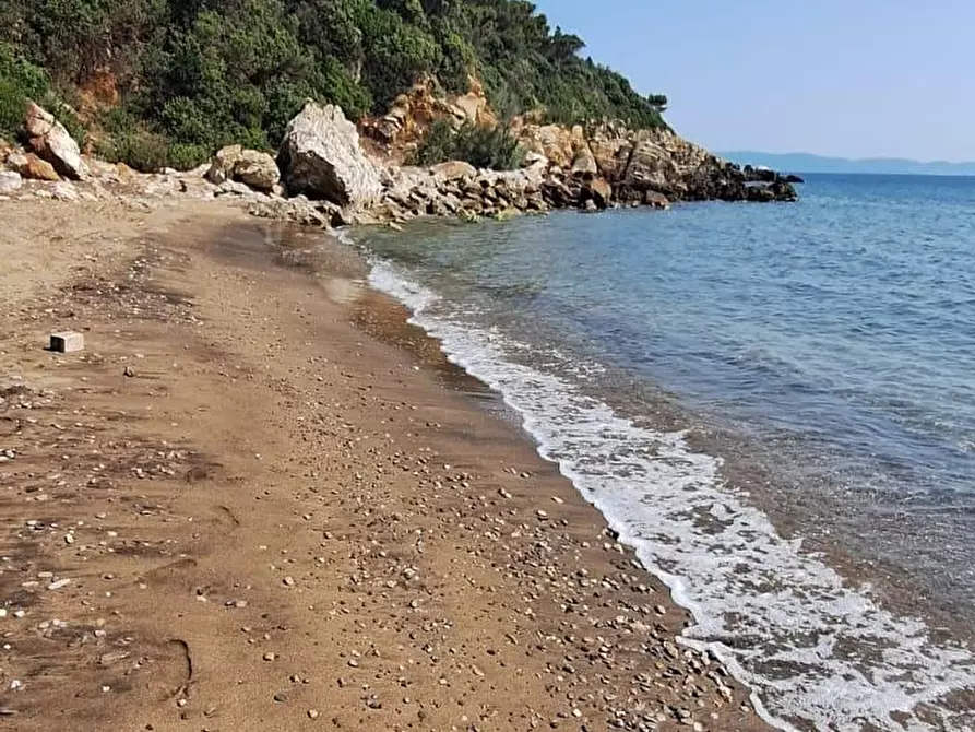 Immagine 17 di Appartamento in vendita  a Rio Marina