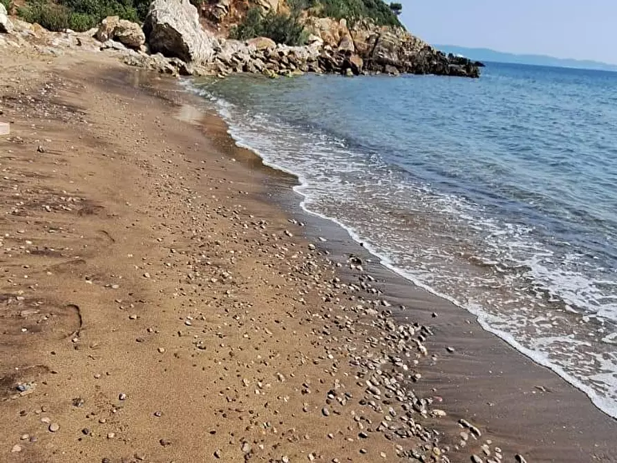 Immagine 18 di Appartamento in vendita  a Rio Marina