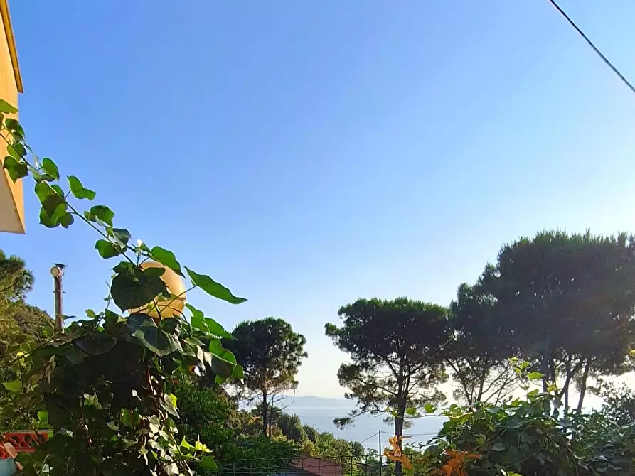 Immagine 15 di Appartamento in vendita  a Rio Marina