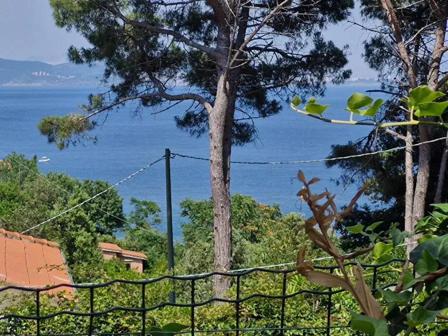 Immagine 20 di Appartamento in vendita  a Rio Marina