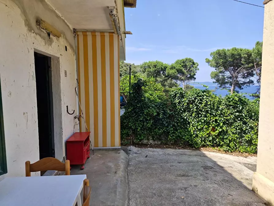 Immagine 2 di Appartamento in vendita  a Rio Marina