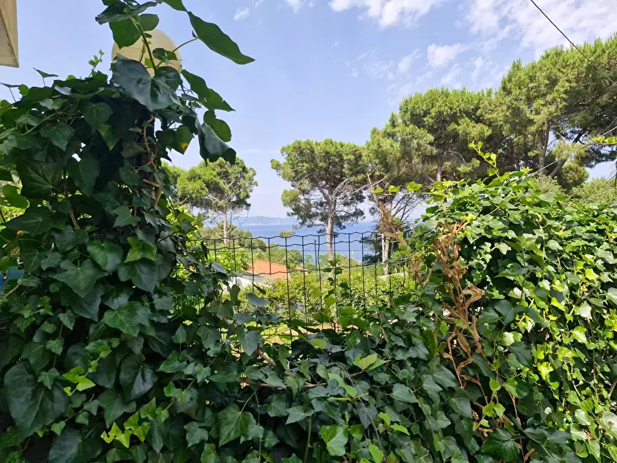 Immagine 19 di Appartamento in vendita  a Rio Marina