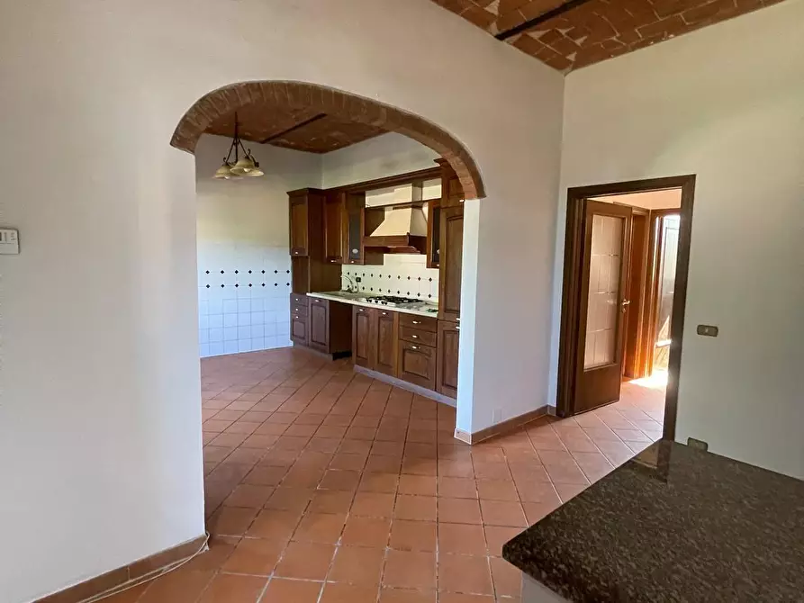 Immagine 5 di Appartamento in vendita  a Terricciola