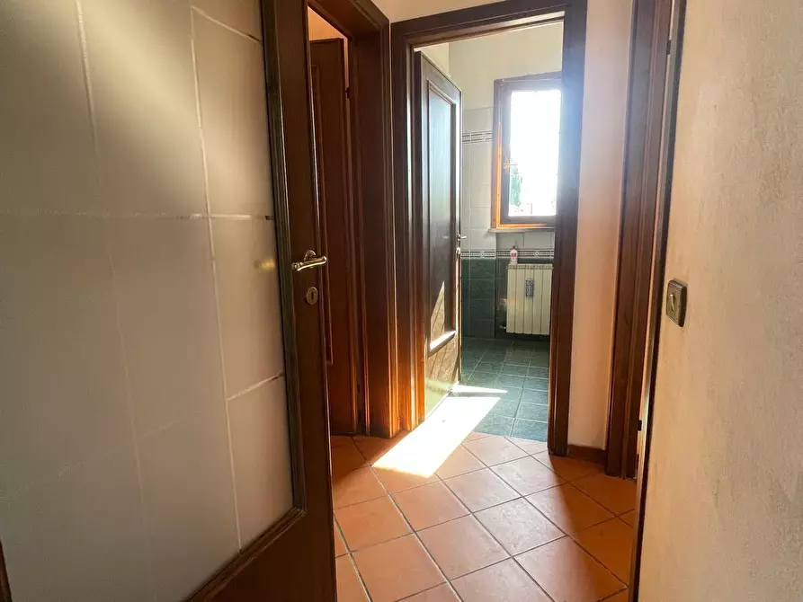 Immagine 7 di Appartamento in vendita  a Terricciola